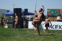 DSC03028_1024x768
