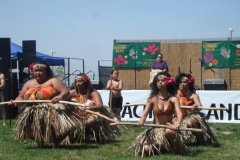 DSC03046_1024x768