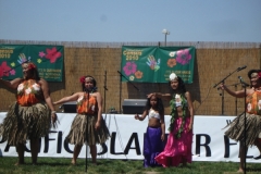 DSC03107_1024x768