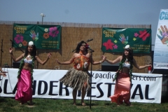 DSC03113_1024x768