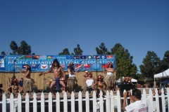 DSC04271_1024x768