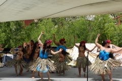 102_1024x768 102_1024x768