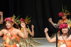 137_1024x768 137_1024x768