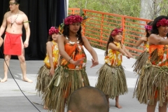 172_1024x768 172_1024x768