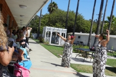 231_1024x768 231_1024x768