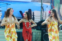 136_1024x768 136_1024x768