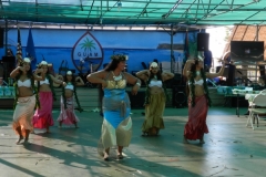 155_1024x768 155_1024x768