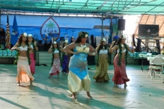 156_1024x768 156_1024x768