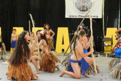 DSCN6452_1024x768 DSCN6452_1024x768