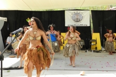 DSCN6471_1024x768 DSCN6471_1024x768