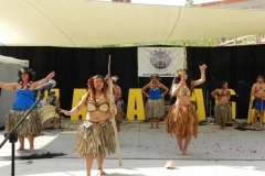 DSCN6473_1024x768 DSCN6473_1024x768