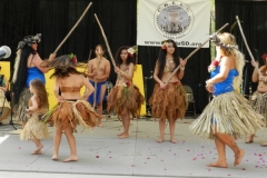 DSCN6477_1024x768 DSCN6477_1024x768