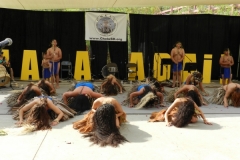 DSCN6495_1024x768 DSCN6495_1024x768