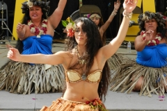 DSCN6499_1024x768 DSCN6499_1024x768