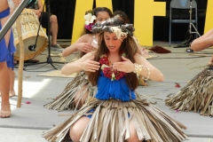 DSCN6500_1024x768 DSCN6500_1024x768