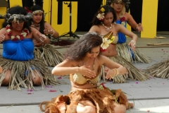 DSCN6501_1024x768 DSCN6501_1024x768