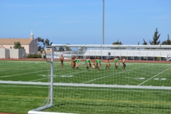 DSC_0113_1024x768 DSC_0113_1024x768