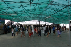 DSCN6224_1024x768
