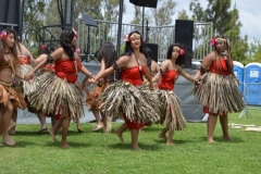 DSC_0234_1024x768