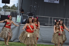 DSC_0269_1024x768