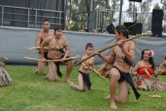 DSC_0313_1024x768 DSC_0313_1024x768