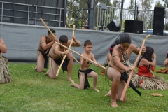 DSC_0314_1024x768 DSC_0314_1024x768