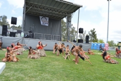 DSC_0315_1024x768 DSC_0315_1024x768