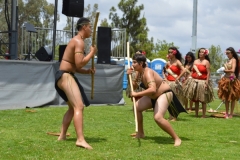 DSC_0334_1024x768 DSC_0334_1024x768