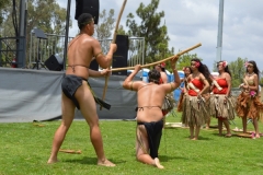 DSC_0335_1024x768 DSC_0335_1024x768