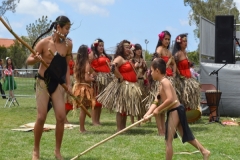 DSC_0336_1024x768 DSC_0336_1024x768