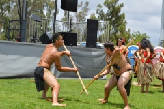 DSC_0347_1024x768 DSC_0347_1024x768