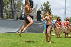 DSC_0350_1024x768 DSC_0350_1024x768