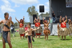 DSC_0356_1024x768 DSC_0356_1024x768