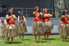 DSC_0357_1024x768 DSC_0357_1024x768