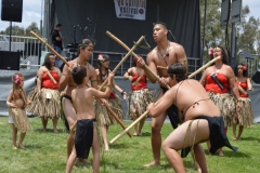 DSC_0366_1024x768 DSC_0366_1024x768