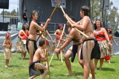 DSC_0367_1024x768 DSC_0367_1024x768