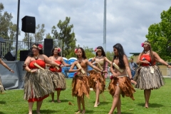 DSC_0370_1024x768 DSC_0370_1024x768