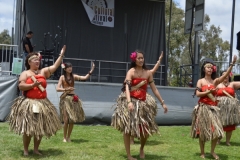 DSC_0374_1024x768 DSC_0374_1024x768