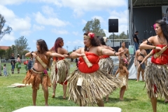 DSC_0383_1024x768 DSC_0383_1024x768