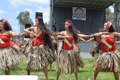 DSC_0384_1024x768 DSC_0384_1024x768