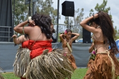 DSC_0390_1024x768 DSC_0390_1024x768