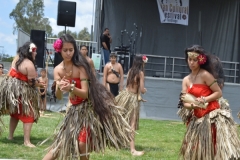 DSC_0391_1024x768 DSC_0391_1024x768