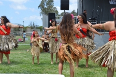 DSC_0395_1024x768 DSC_0395_1024x768