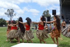 DSC_0406_1024x768 DSC_0406_1024x768