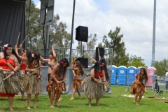 DSC_0415_1024x768 DSC_0415_1024x768