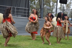 DSC_0469_1024x768 DSC_0469_1024x768