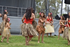 DSC_0470_1024x768 DSC_0470_1024x768