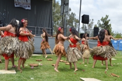 DSC_0490_1024x768 DSC_0490_1024x768