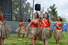 DSC_0499_1024x768 DSC_0499_1024x768