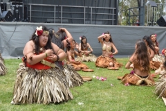 DSC_0507_1024x768 DSC_0507_1024x768